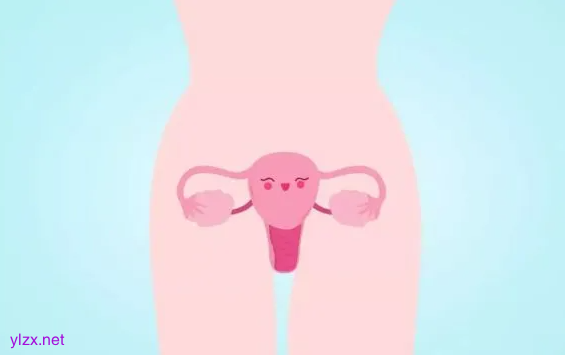 幼稚型子宫能治好吗?拥有“幼稚子宫”就会不孕吗?