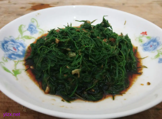 糖尿病夏天可以吃猪毛菜吗?猪毛菜多吃可以控糖吗?