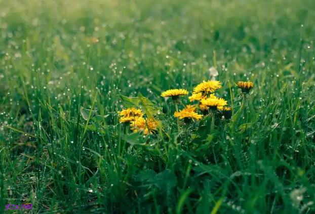 /upload/20250417/cb7e8c38a336fb.png