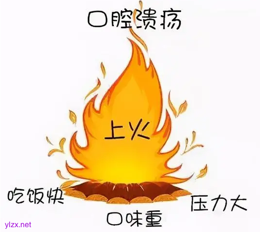 /upload/20250425/4b5ee0ed206c5f.png